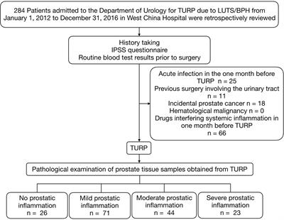 Detection of Prostatic Inflammation From Peripheral Lymphocyte Count and Free/Total PSA Ratio in Men With LUTS/BPH